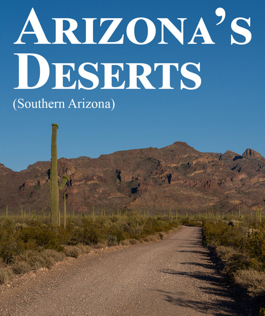 Saguaro National Park - Superstition Mountains - Tonto National Forest - Coronado - Chiricahua - Organ Pipe Cactus
